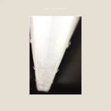 Floodlit by Pijn - album cover