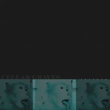 Testure by Cellar Graves - album cover