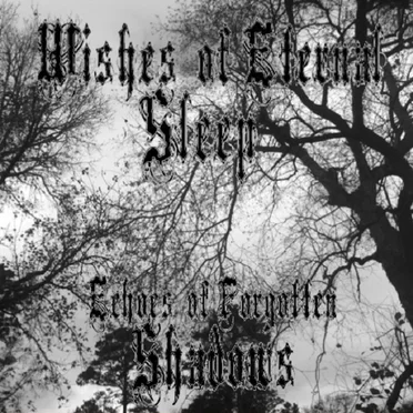 Echoes of Forgotten Shadows by Wishes of Eternal Sleep - album cover