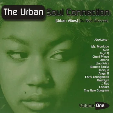 The Urban Soul Connection: Volume One by Various Artists - album cover