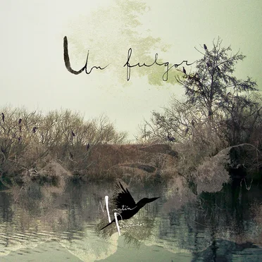 Un fulgor by Martín Pescador - album cover