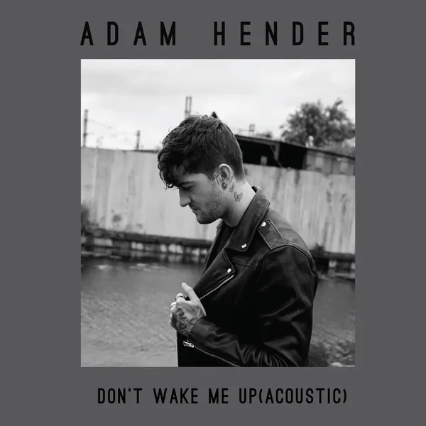 Don’t Wake Me Up (acoustic)