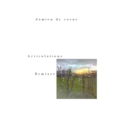 Articulations Remixes