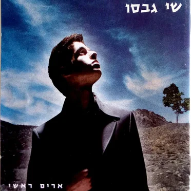 ארים ראשי
