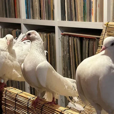 2024-11-20: NTS Radio