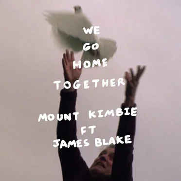 We Go Home Together by Mount Kimbie - album cover