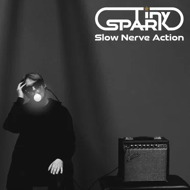 Slow Nerve Action by Tiny Spark - album cover