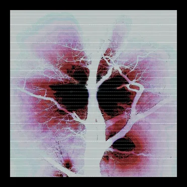 Kilohertz by SlugWeed - album cover