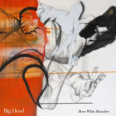Bone White Branches by Big Dead - album cover
