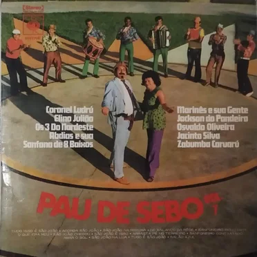 Pau De Sebo Vol. 7 by Various Artists - album cover