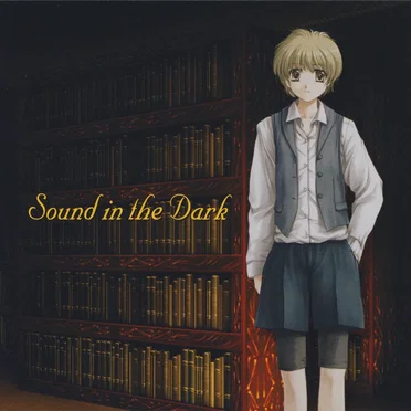 Sound in the Dark