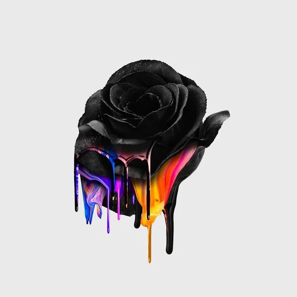 Let Me Down