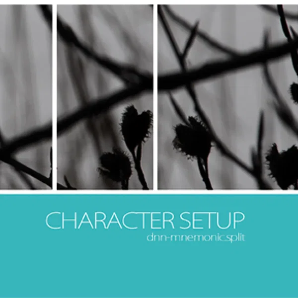 Character Setup