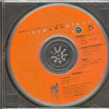 Songs From the Album Vibraudoblast