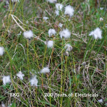 200 Years of Electricals