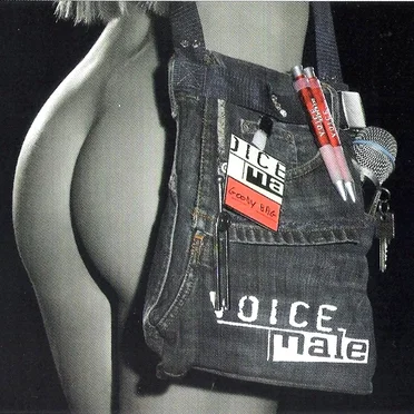 Goody Bag by Voice Male - album cover