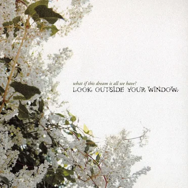 Look Outside Your Window by What If This Dream Is All We Have? - album cover