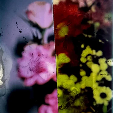 floral arrangements