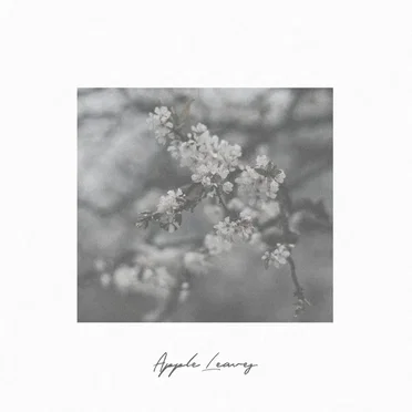 Apple Leaves