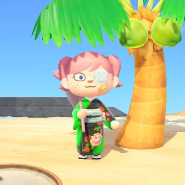 Playing Animal Crossing