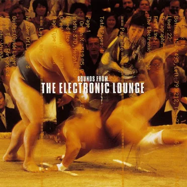 Sounds From the Electronic Lounge by Various Artists - album cover