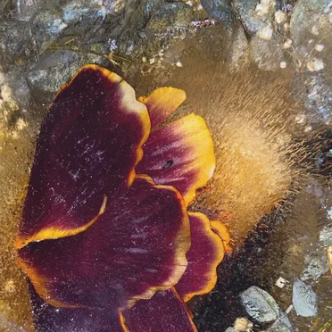 Longing for You, Pt. II