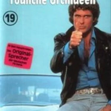 Folge 19: Tödliche Orchideen by Knight Rider - album cover