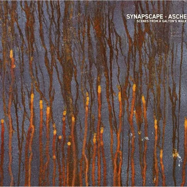 Scenes From a Galton's Walk by Synapscape - album cover