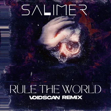 Rule The World (Voidscan Remix) by SAlimer - album cover