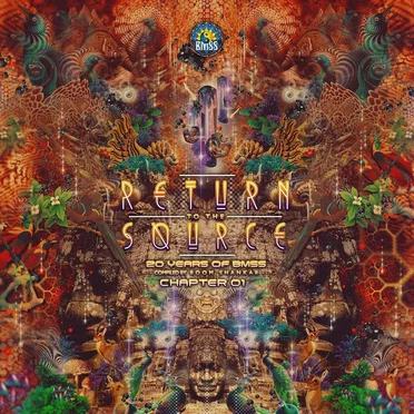 Return To The Source (20 Years Of BMSS): Chapter 01