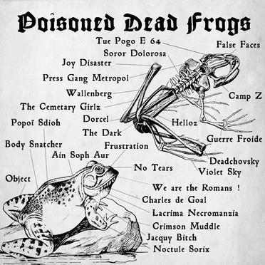 Poisoned Dead Frogs by Various Artists - album cover