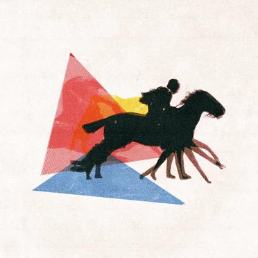 Unioness by ANiML - album cover
