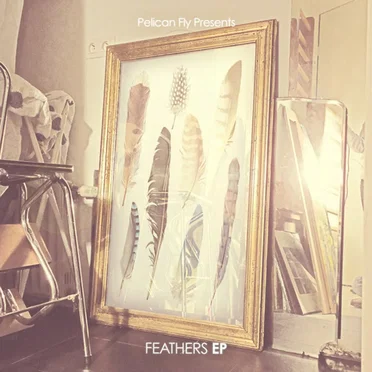 Feathers EP by Various Artists - album cover