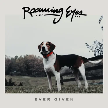 Ever Given