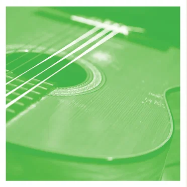 VDSQ Solo Acoustic Vol.13