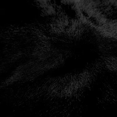 #BlackSeries by The Ninetys - album cover
