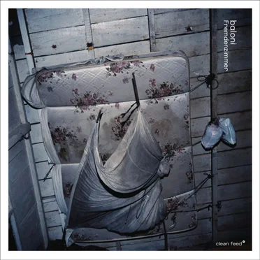 Fremdenzimmer by Baloni - album cover