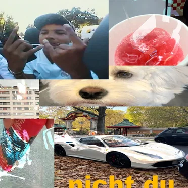 nicht du