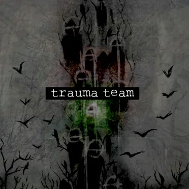 Trauma Team by Soul Shinobi - album cover