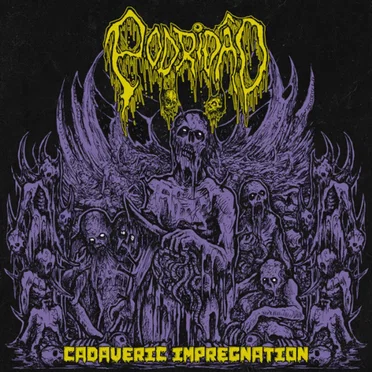 Cadaveric Impregnation