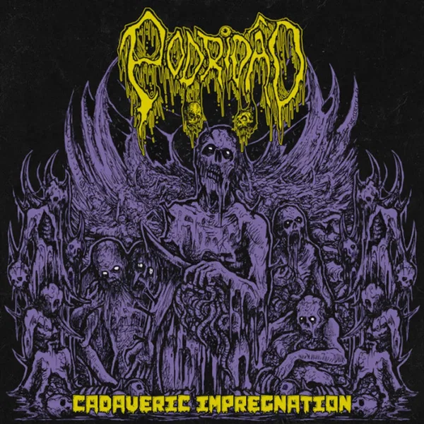 Cadaveric Impregnation