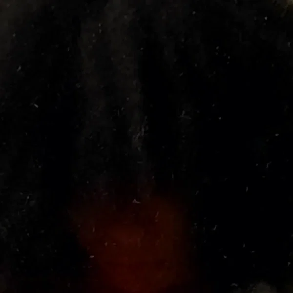 A Real Jazzykid Story