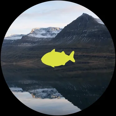 Thanks for All the Fish by Various Artists - album cover