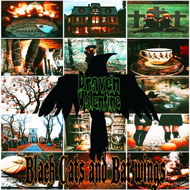 Black Cats and Bat Wings