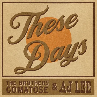 These Days by The Brothers Comatose - album cover