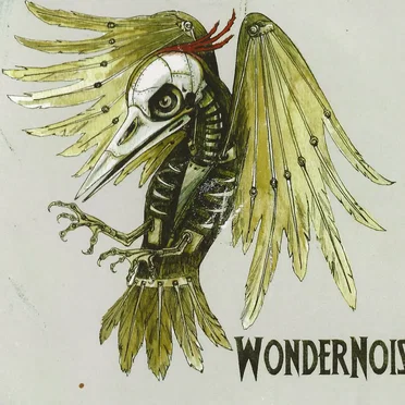 Wondernoise by Wondernoise - album cover