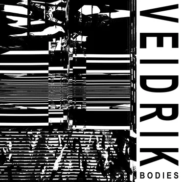 Bodies