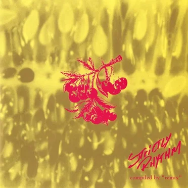 Strictly Rhythm (Fruits Of Music) by Various Artists - album cover