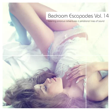 Bedroom Escapades, Volume 14 by Various Artists - album cover