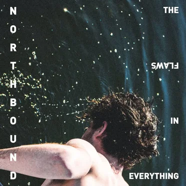The Flaws In Everything by Northbound - album cover